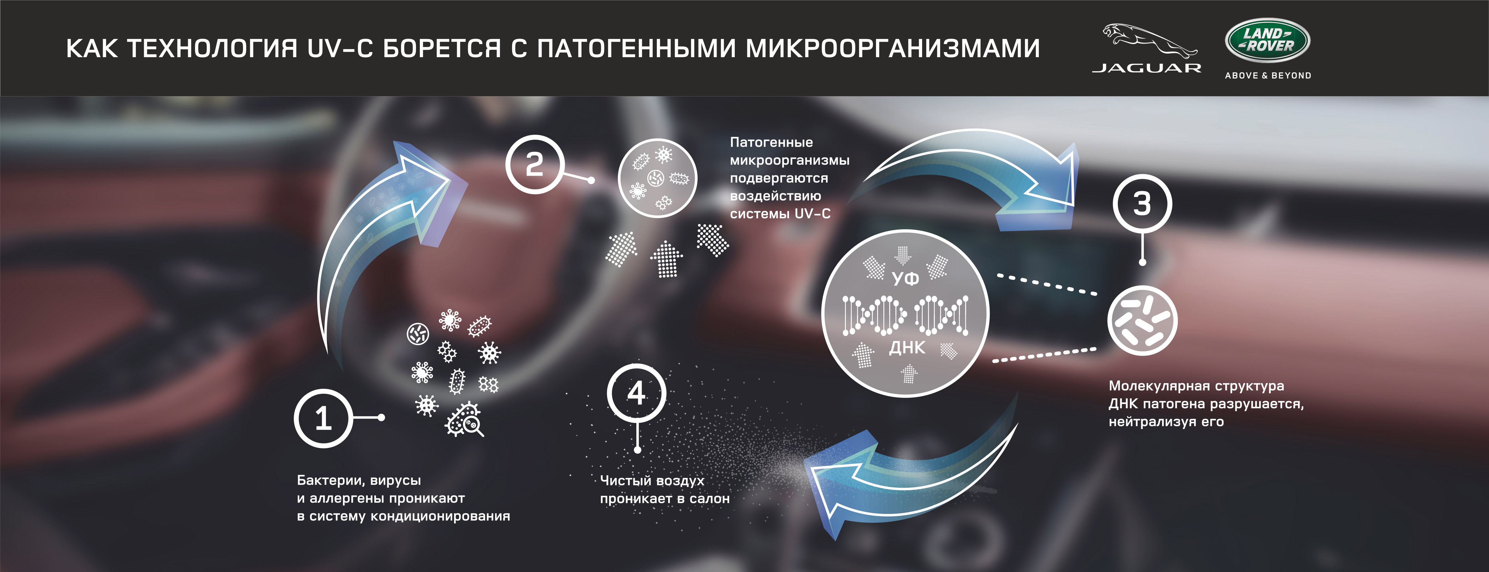 Будущий Jaguar Land Rover обещает уберечь от вирусов и бактерий