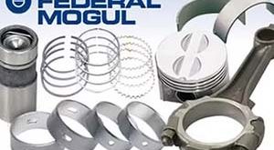 Federal Mogul