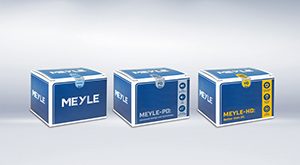 компания MEYLE AG