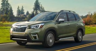 Forester 2019