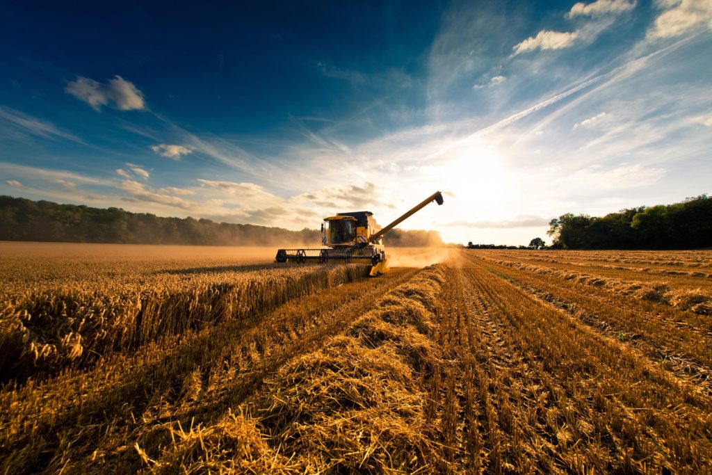 Масла для сельского хозяйства TOTAL AGRI