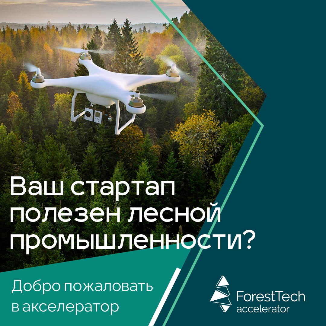 Запущен ForestTech Accelerator для внедрения передовых технологий в процесс добычи и переработки леса Запущен ForestTech Accelerator для внедрения передовых технологий в процесс добычи и переработки леса