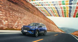 CHERY в России прирастает