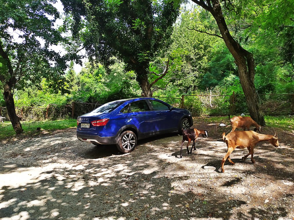 Тест LADA Vesta Cross